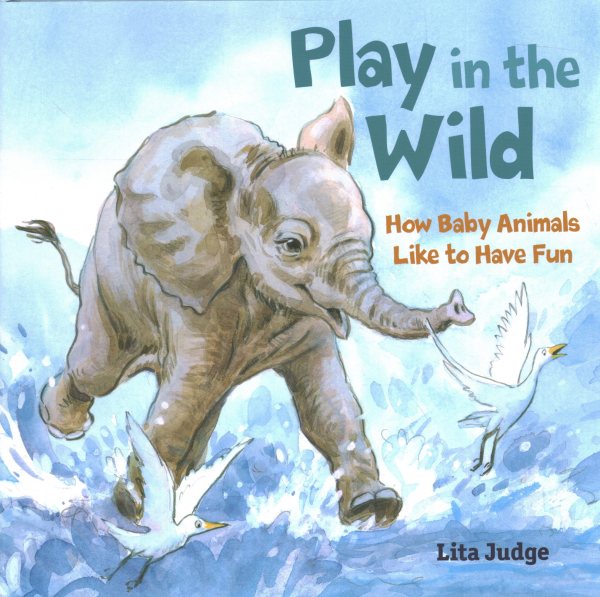Cover art for Play in the wild : how baby animals like to have fun / Lita Judge.