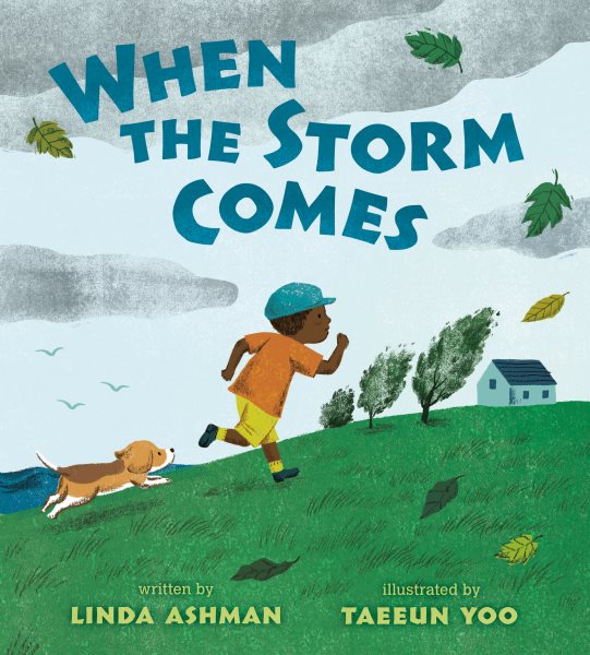 Cover art for When the storm comes / written by Linda Ashman   illustrated by Taeeun Yoo.