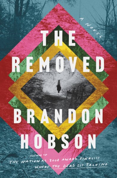 Cover art for The removed : a novel / Brandon Hobson.