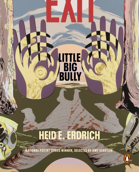 Cover art for Little big bully / Heid E. Erdrich.