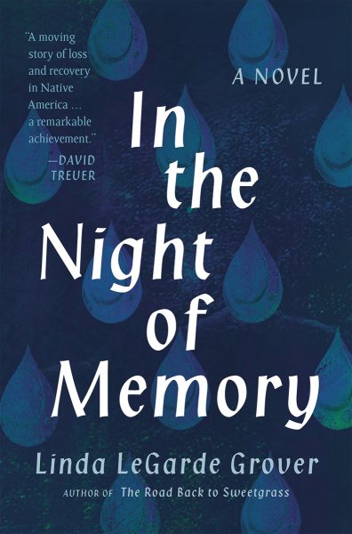 Cover art for In the night of memory : a novel / Linda LeGarde Grover.