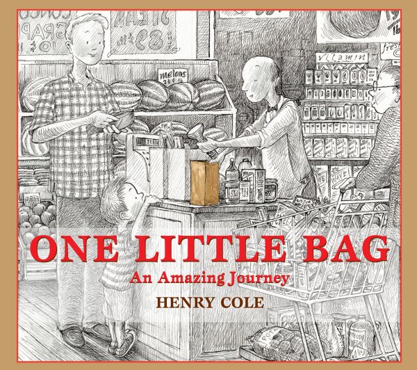 Cover art for One little bag : an amazing journey / Henry Cole.