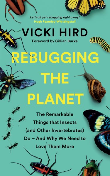 Cover art for Rebugging the planet : the remarkable things that insects (and other invertebrates) do - and why we need to love them more / Vicki Hird   foreword by Gillian Burke.