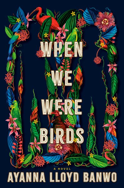 Cover art for When we were birds : a novel / Ayanna Lloyd Banwo.