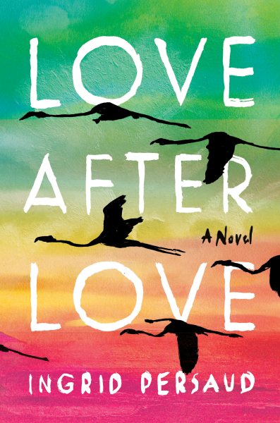 Cover art for Love after love : a novel / Ingrid Persaud.