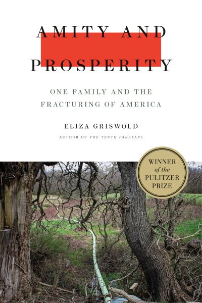 Cover art for Amity and prosperity : one family and the fracturing of America / Eliza Griswold.