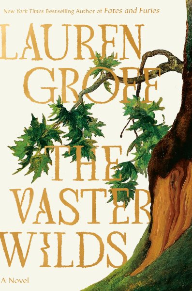Cover art for The vaster wilds / Lauren Groff.