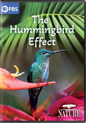 Cover art for The hummingbird effect [DVD videorecording] / a production of Coneflower Productions and the WNET Group   in co-production with Terra Mater Studios   produced by Filipe DeAndrade