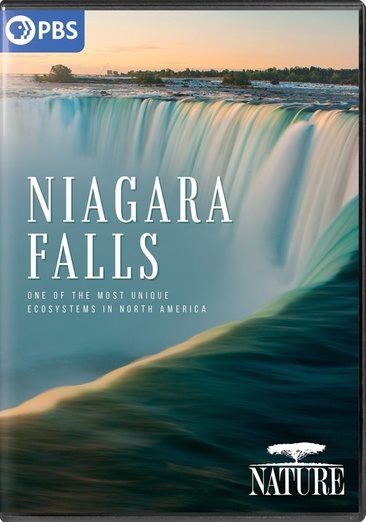 Cover art for Niagara Falls / a production of Pontecorvo Productions and WNET Group   written and produced by Joseph Pontecorvo.
