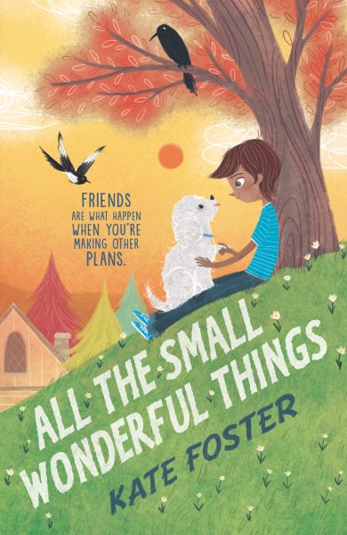 Cover art for All the small wonderful things / Kate Foster.