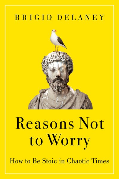 Cover art for Reasons not to worry : how to be Stoic in chaotic times / Brigid Delaney.
