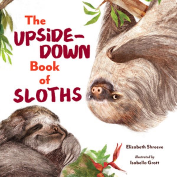 Cover art for The upside-down book of sloths / Elizabeth Shreeve   illustrated by Isabella Grott.