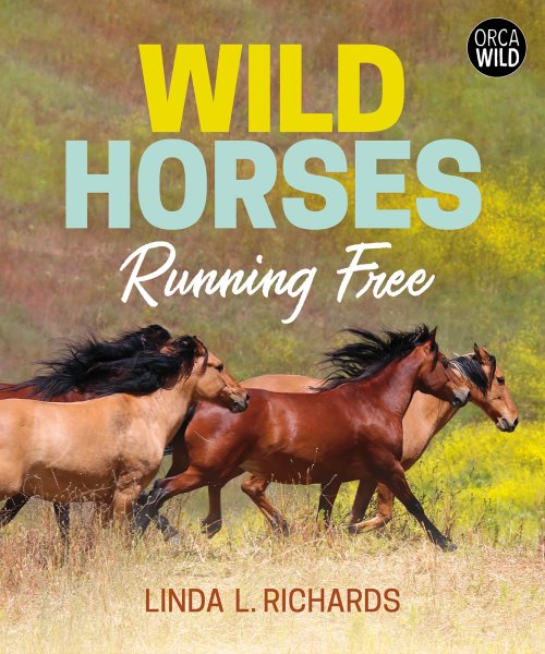 Cover art for Wild horses : running free / Linda L. Richards.