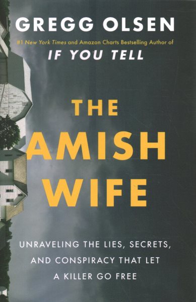 Cover art for The Amish wife : unraveling the lies