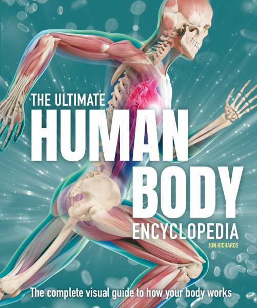 Cover art for The ultimate human body encyclopedia : the complete visual guide to how your body works / Jon Richards.