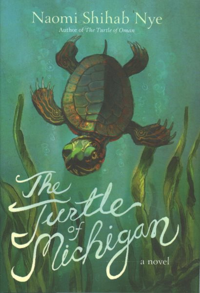 Cover art for The turtle of Michigan : a novel / Naomi Shihab Nye   illustrations by Betsy Peterschmidt.