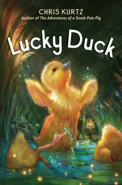 Cover art for Lucky duck / Chris Kurtz   art by Jennifer L. Meyer.