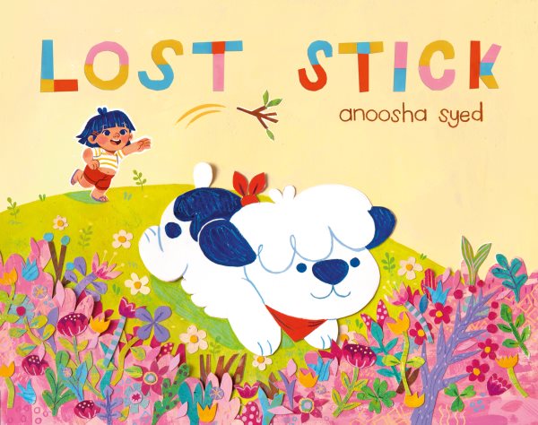 Cover art for Lost stick / Anoosha Syed.