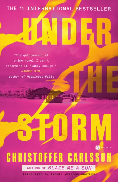 Cover art for Under the storm : a novel / by Christoffer Carlsson   translated from the Swedish by Rachel Willson-Broyles.