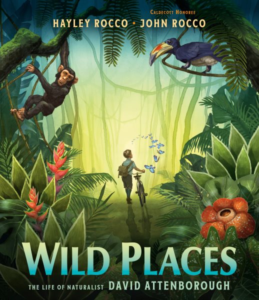 Cover art for Wild places : the life of naturalist David Attenborough / written by Hayley Rocco   illustrated by John Rocco.
