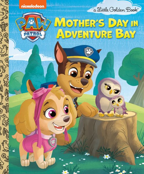 Cover art for Mother's Day in Adventure Bay / by Matt Huntley   illustrated by Fabrizio Petrossi