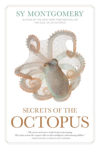 Cover art for Secrets of the octopus / Sy Montgomery.