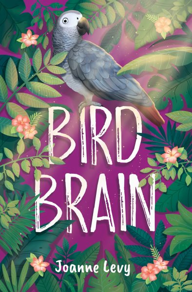 Cover art for Bird brain / Joanne Levy.