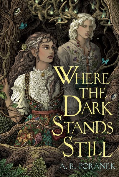 Cover art for Where the dark stands still [electronic resource] / A.B. Poranek.
