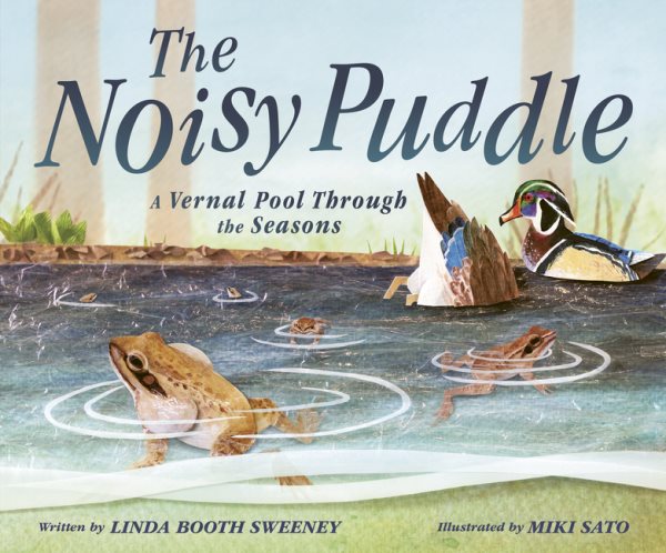 Cover art for The noisy puddle : a vernal pool through the seasons / written by Linda Booth Sweeney   illustrated by Miki Sato.