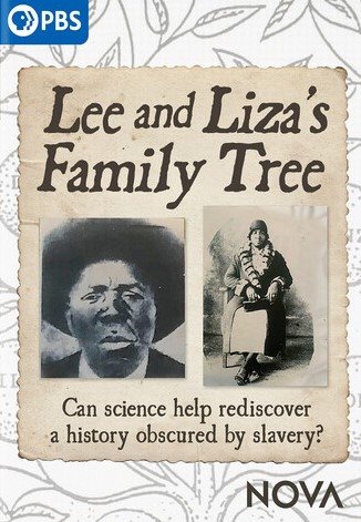 Cover art for Lee and Liza's family tree [DVD videorecording] / produced by Natalie Bullock Brown   written
