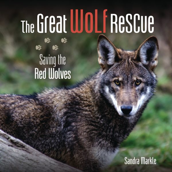 Cover art for The great wolf rescue : saving the red wolves / Sandra Markle.