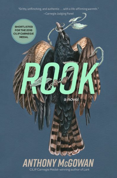 Cover art for Rook / Anthony McGowan.