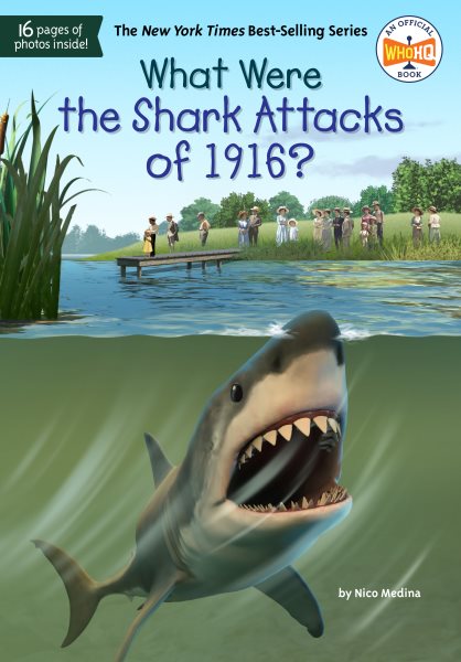 Cover art for What were the Shark Attacks of 1916? / by Nico Medina   illustrated by Tim Foley.