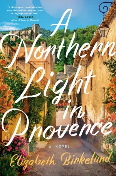 Cover art for A northern light in Provence [electronic resource] : a novel / Elizabeth Birkelund.
