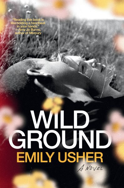 Cover art for Wild ground [electronic resource] : a novel / Emily Usher.