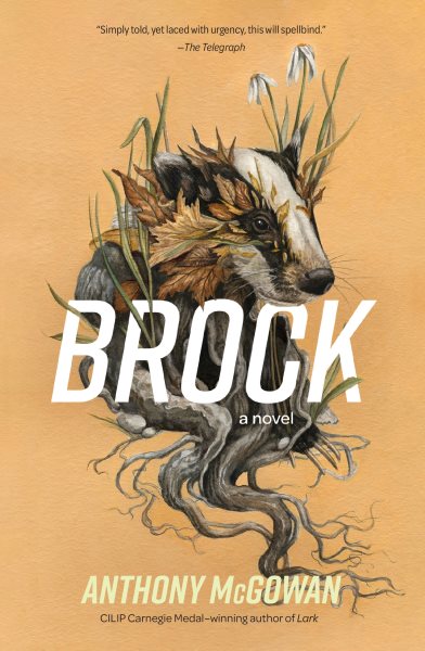 Cover art for Brock / Anthony McGowan.