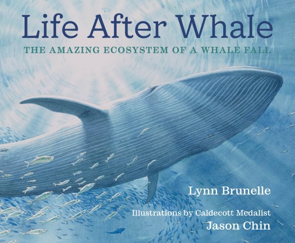 Cover art for Life after whale : the amazing ecosystem of a whale fall / by Lynn Brunelle   illustrated by Jason Chin.