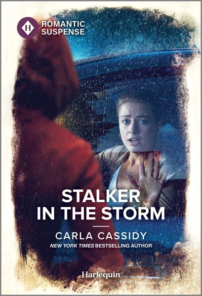 Cover art for Stalker in the storm / Carla Cassidy.