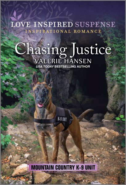 Cover art for Chasing justice / Valerie Hansen.