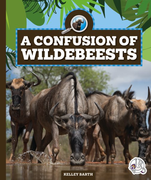 Cover art for A confusion of wildebeests / Kelley Barth.
