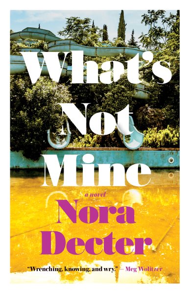 Cover art for What's not mine : a novel / Nora Decter.